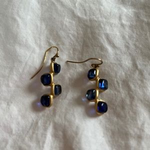 Metropolitan Museum earrings